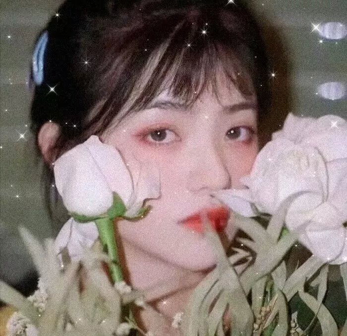 爱玛姑娘